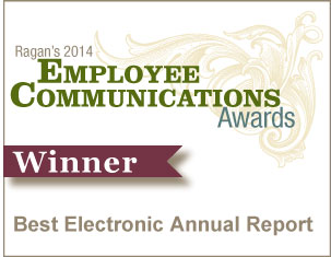 Best Electronic Annual Report