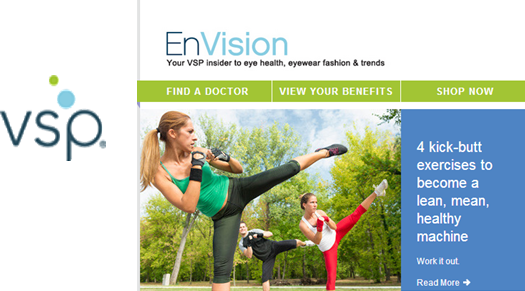 VSP EnVision Newsletter- Logo