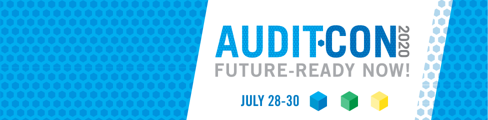 AuditCon 2020