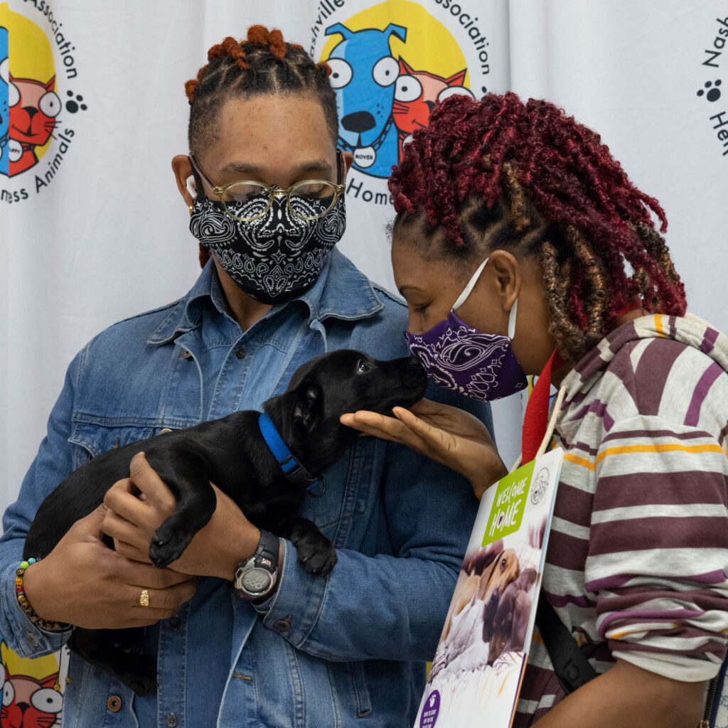 How Mars Petcare Inspired its Community to Save 285 Pets during its Annual Adoption Weekend