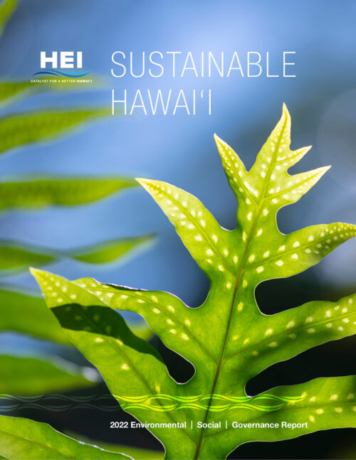 HEI's 2022 Environmental: Social and Governance Report
