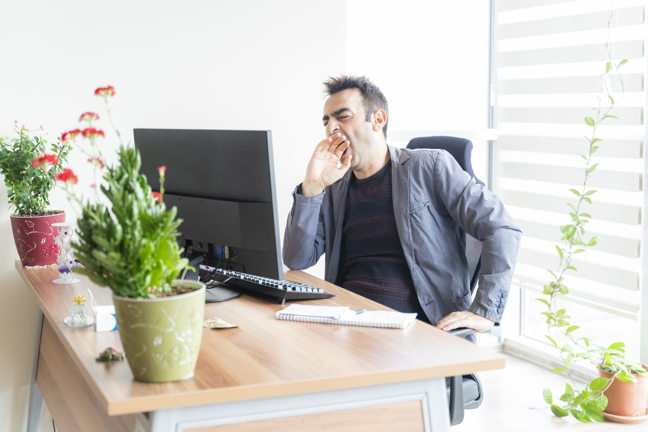 The sleepy officer yawns. officer wearing jacket over sweatshirt. There are potted flowers on the table. Shot with a full-frame camera in daylight.