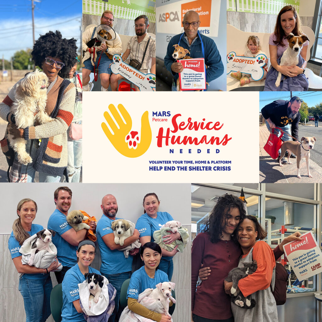 How Mars Petcare Brought Communities Together to Raise Awareness of the Shelter Crisis and Help Pets Find Homes