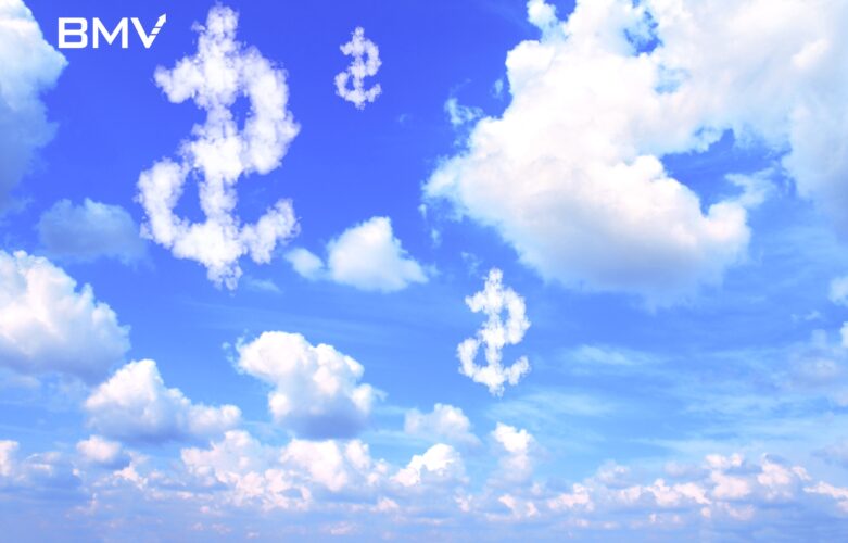 Spotlighting the Cloud Cost Crunch
