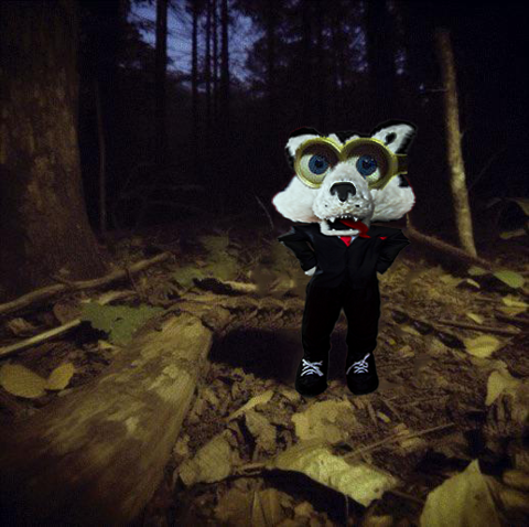 Northeastern University TikTok