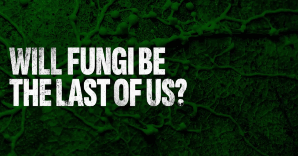 Will Fungi be the Last of Us?
