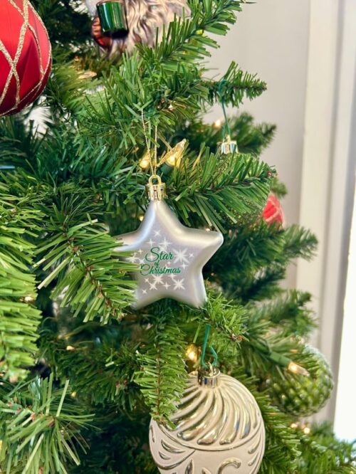 Sobeys Star of Christmas