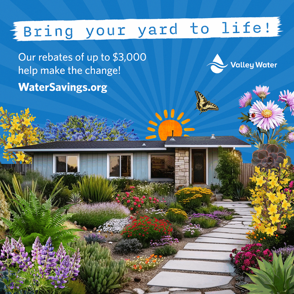 Summer-Fall Conservation Marketing Campaign