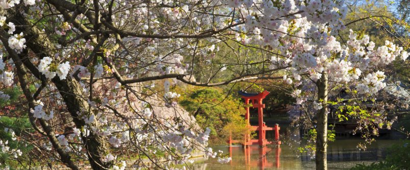 Brooklyn Botanic Garden