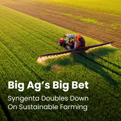 Big Ag’s Big Bet: Syngenta Doubles Down On Sustainable Farming