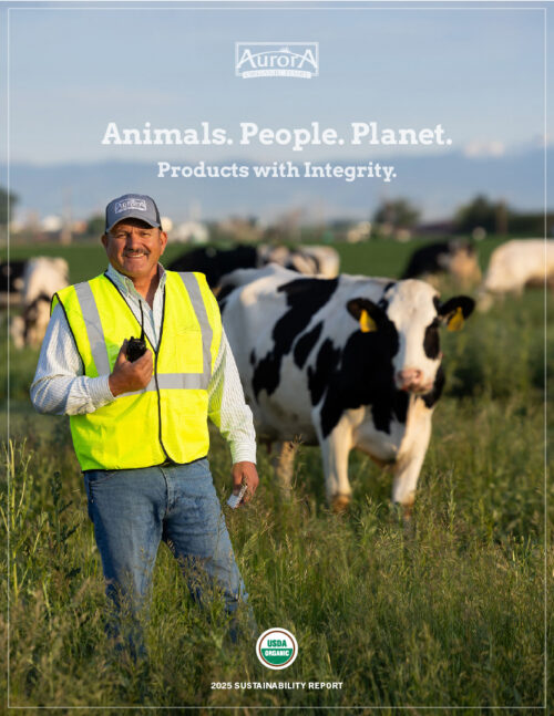 2025 Sustainability Report