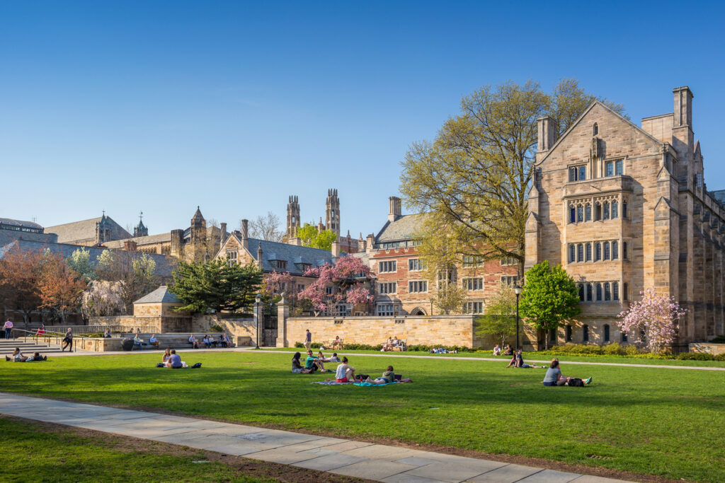 Yale’s visual-first intranet puts people in the spotlight