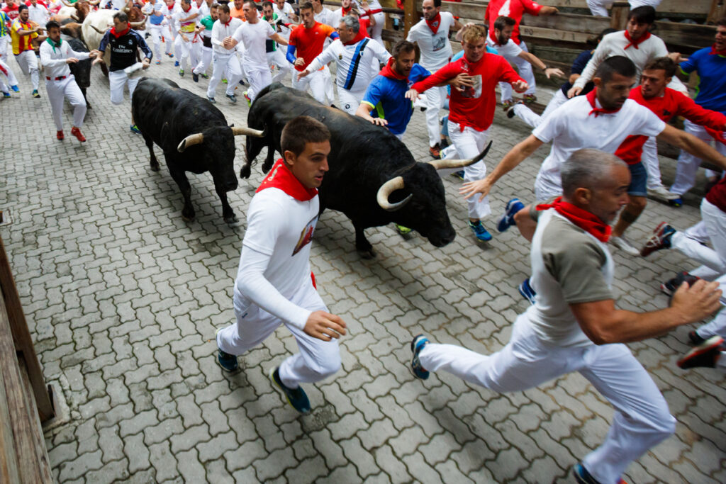 What running with the bulls taught me about AI