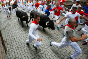 What running with the bulls taught me about AI